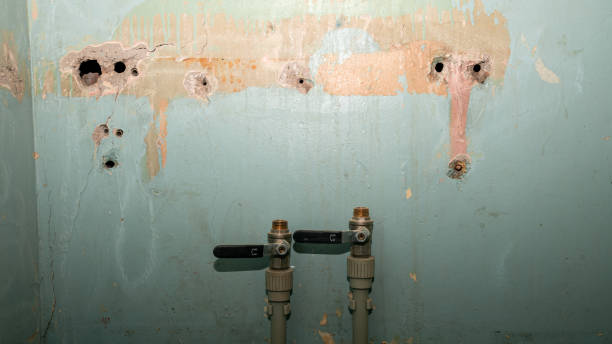 Best Water damage cleanup near me  in Rockwell Place, TX